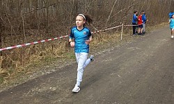 Mistrzostwa Szkół m. Konina w drużynowych biegach przełajowych - wyniki